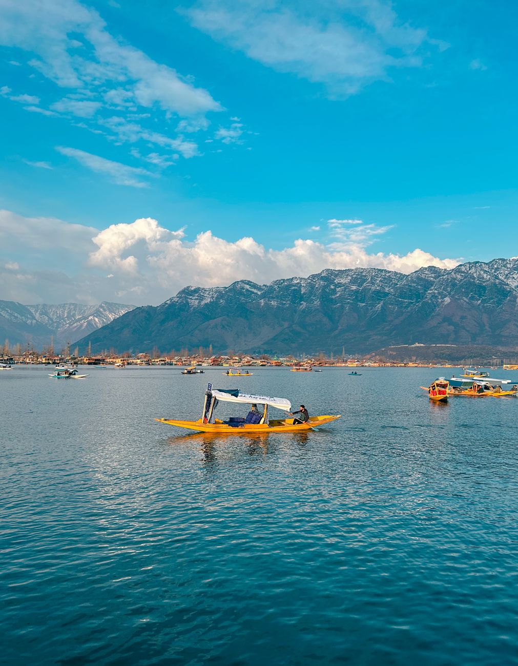 Shikara boats on Dal Lake in Kashmir