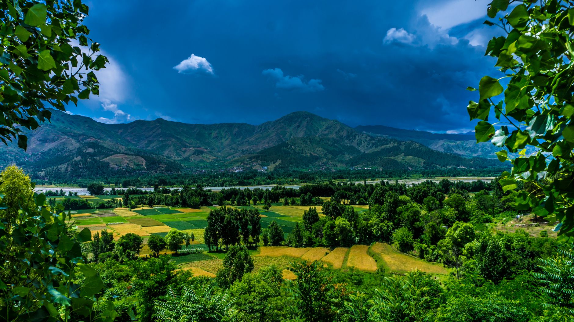 Daksum Valley, Kashmir
