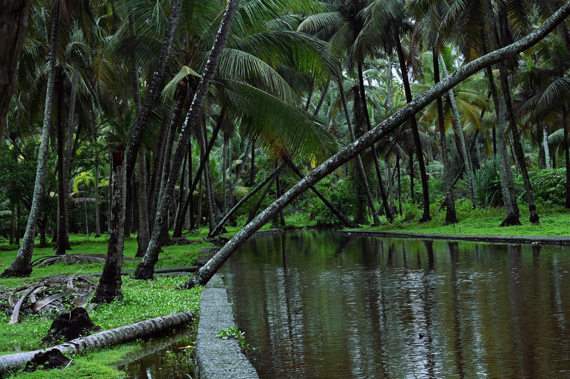 Kerala domestic holiday destination