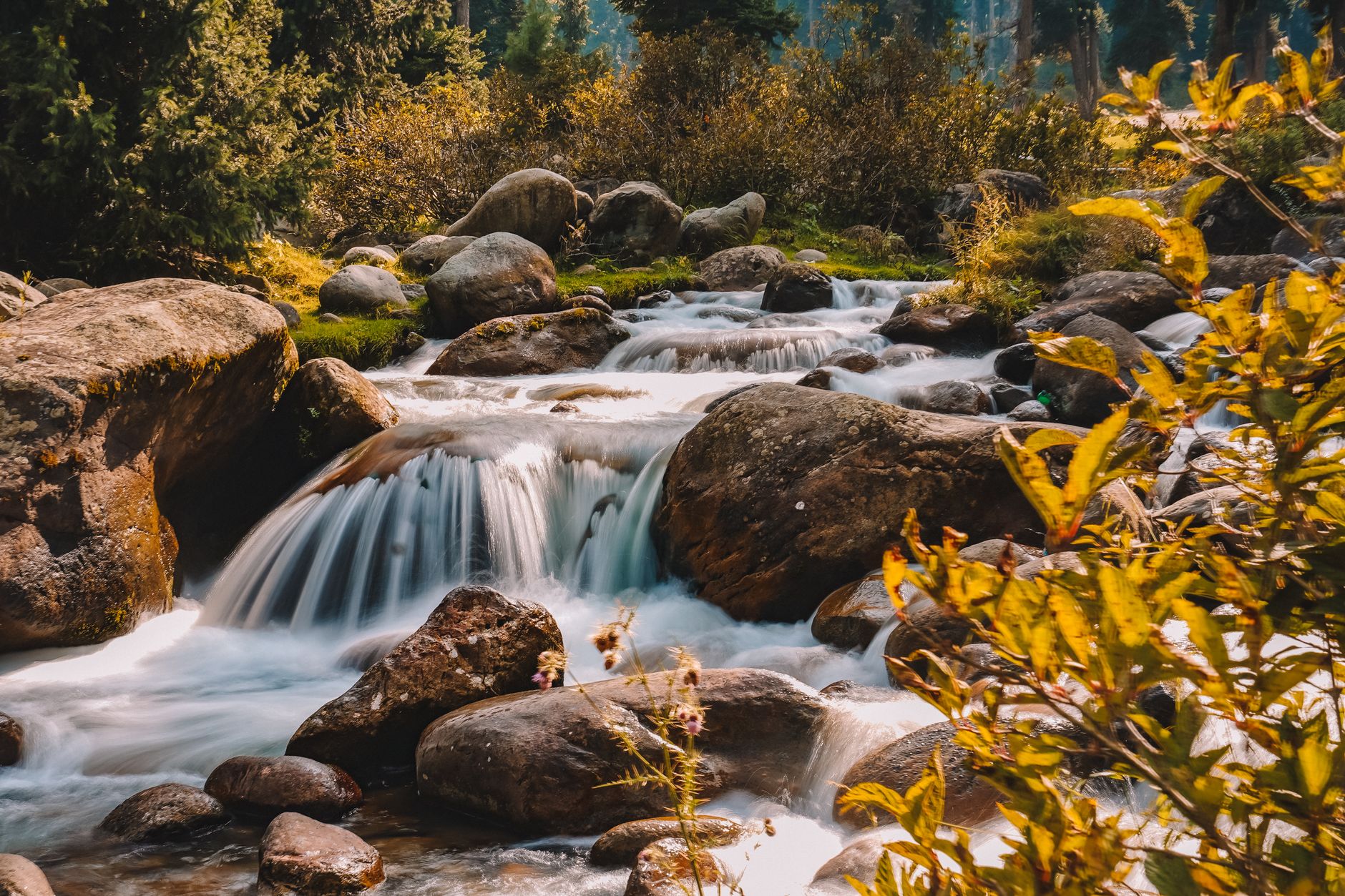 Escape the ordinary. Enter Kashmir.
