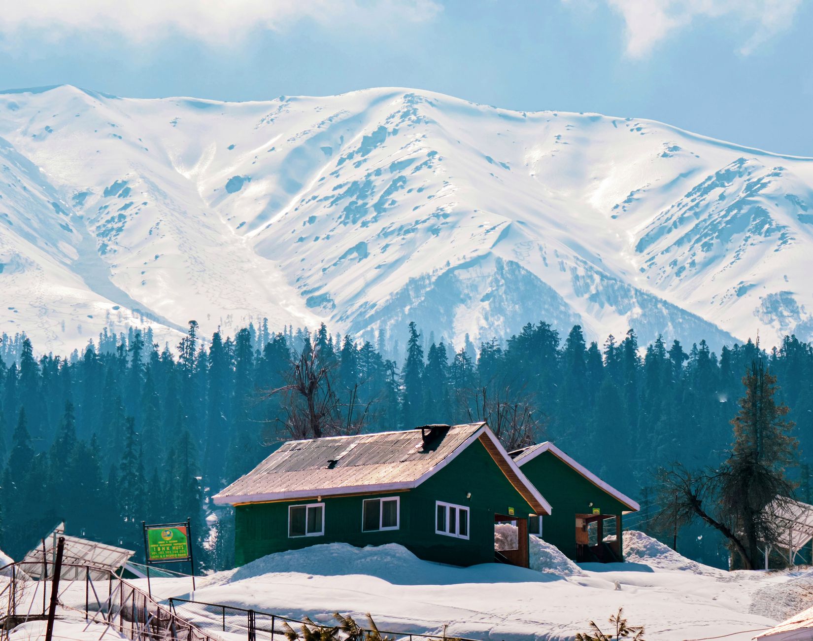 Snow covered Kashmir landscape and pine trees