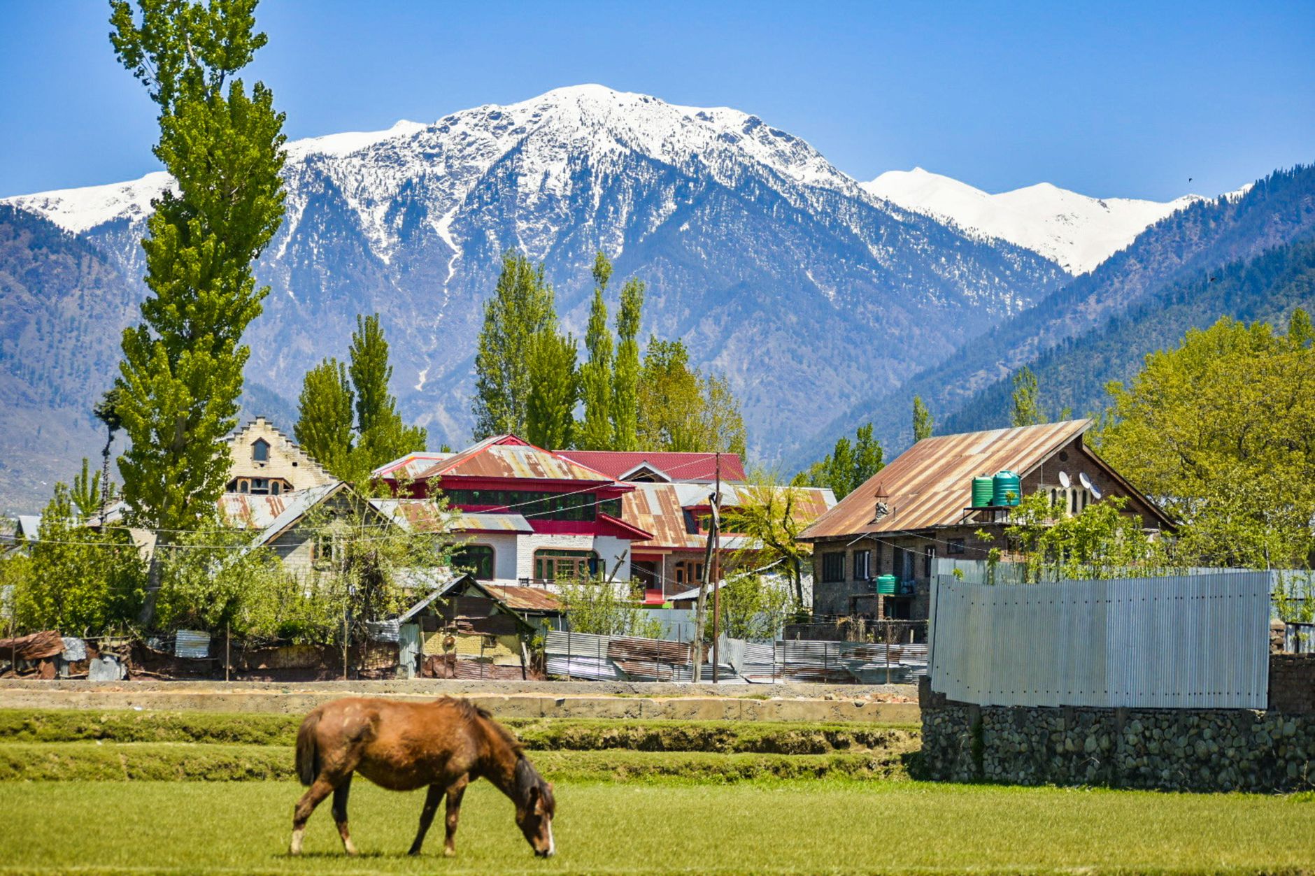 Aerial view of lush Kashmir fields and village