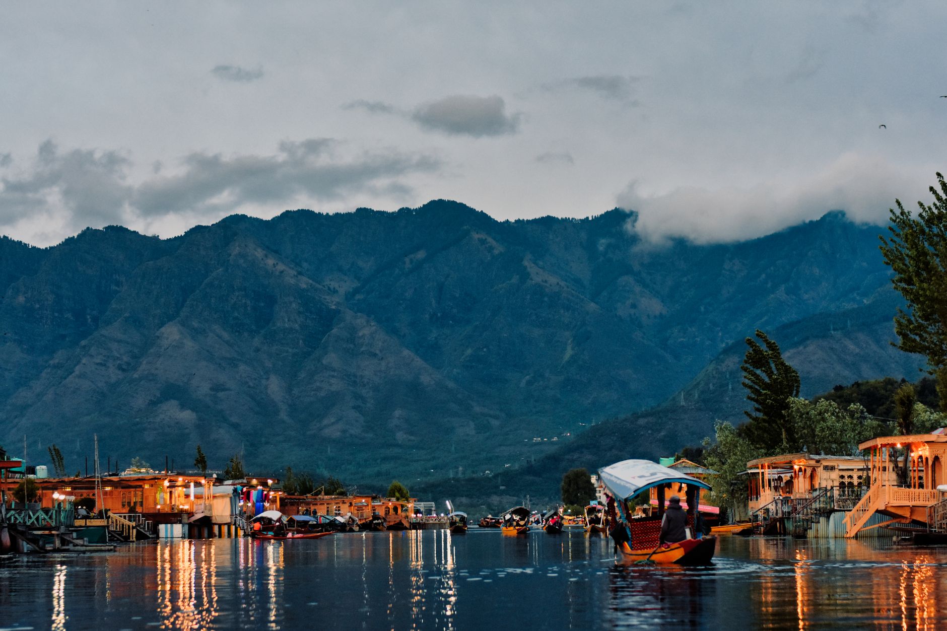 Houseboats and greenery around Dal Lake